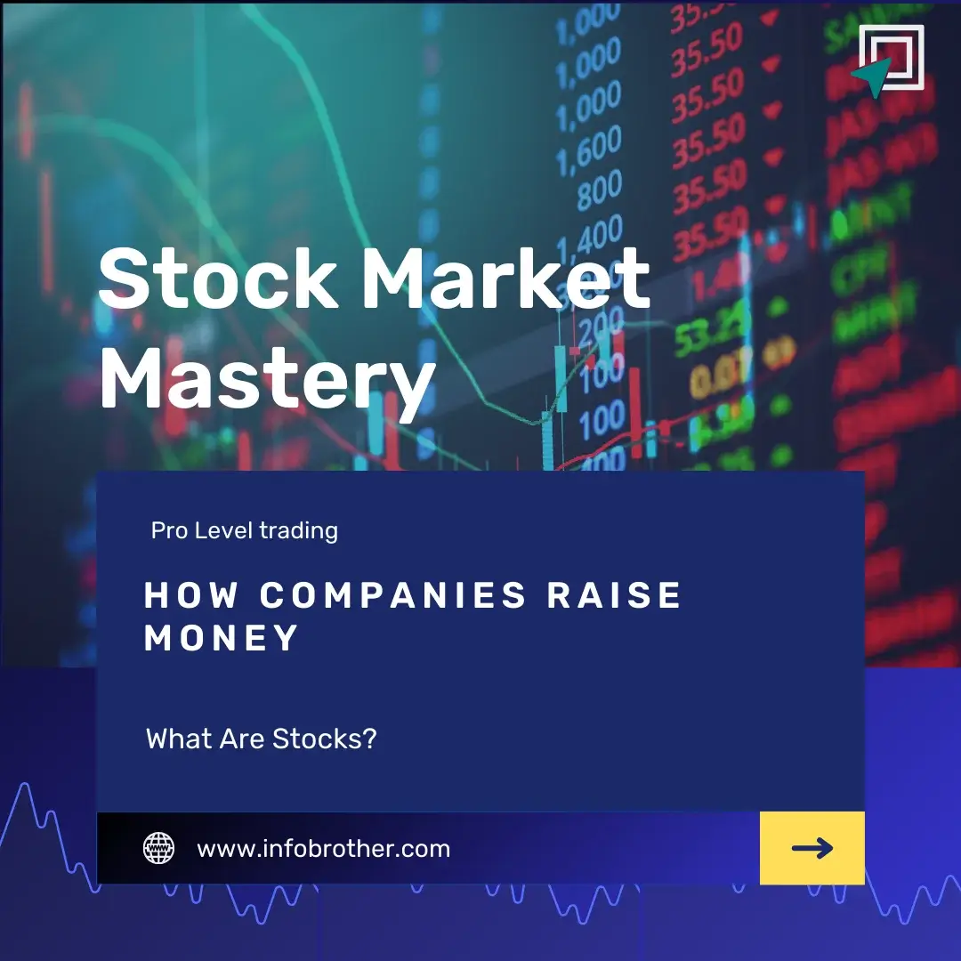 What Are Stocks? Understanding Shares & Companies
